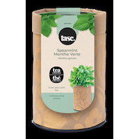 Seeds Are Easy, Tea Kit, Spearmint, Ready to Plant for your Home Garden Front_Elevated
