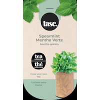 Seeds Are Easy, Tea Kit, Spearmint, Ready to Plant for your Home Garden Front_Flat