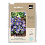 Bulbe Bulbs Are Easy, anémone bleue Front_Flat