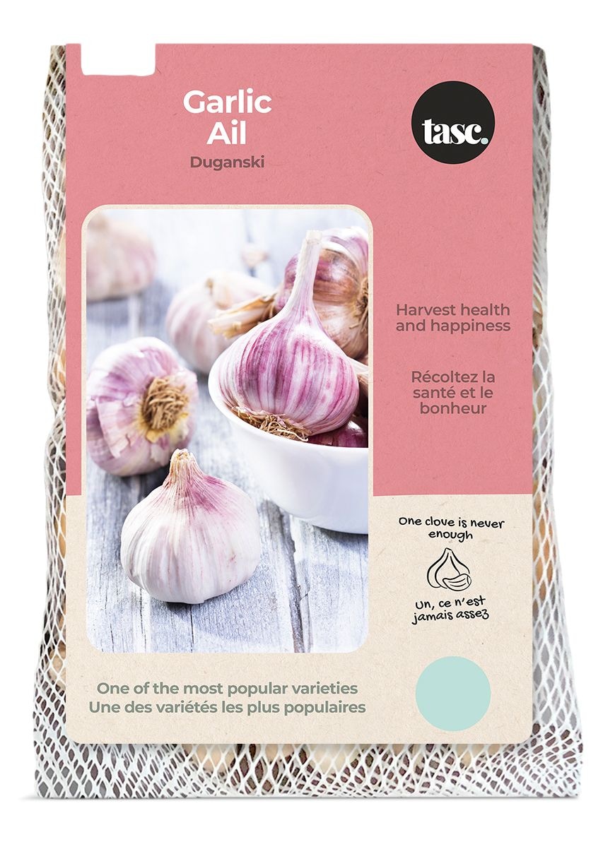 Bulbs Are Easy, Duganski Fall Garlic Bulb, Ready to Plant for your Home