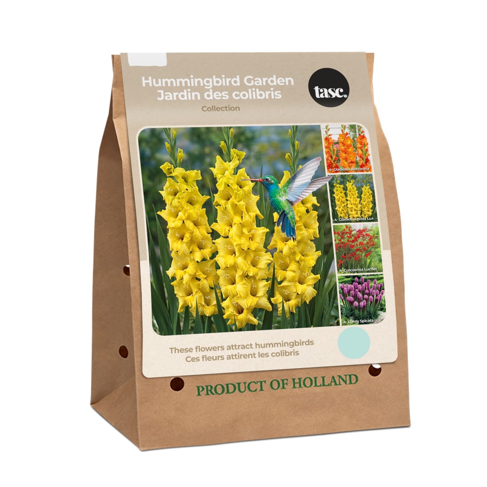 TASC Hummingbird Garden Flower Bulbs Canadian Tire