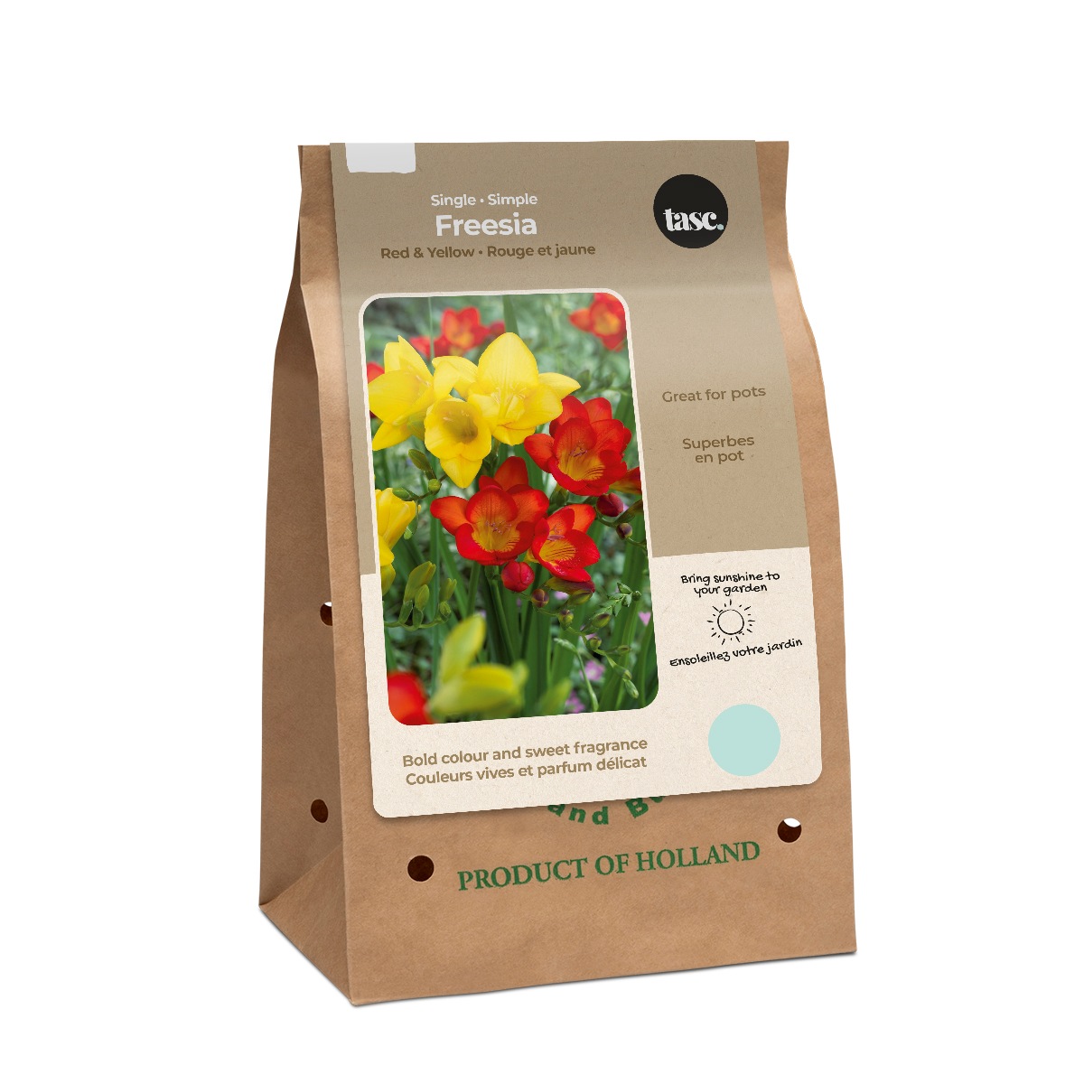 Bulbs Are Easy Freesia Yellow ReadytoGrow Flower Bulbs Canadian Tire