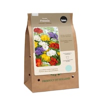 Bulbs Are Easy Freesia Double Ready-to-Plant Flower Bulbs, Assorted Front_Three_Fourths_Angled_Right