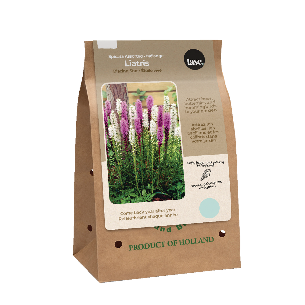 bulbs-are-easy-liatris-home-garden-ready-to-plant-flower-bulbs