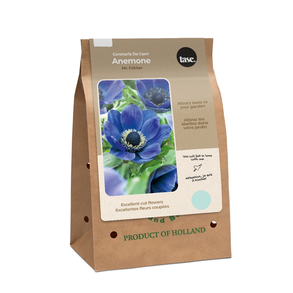 Bulbs Are Easy Anemone Home Garden Spring Summer Flower Bulbs, Mr