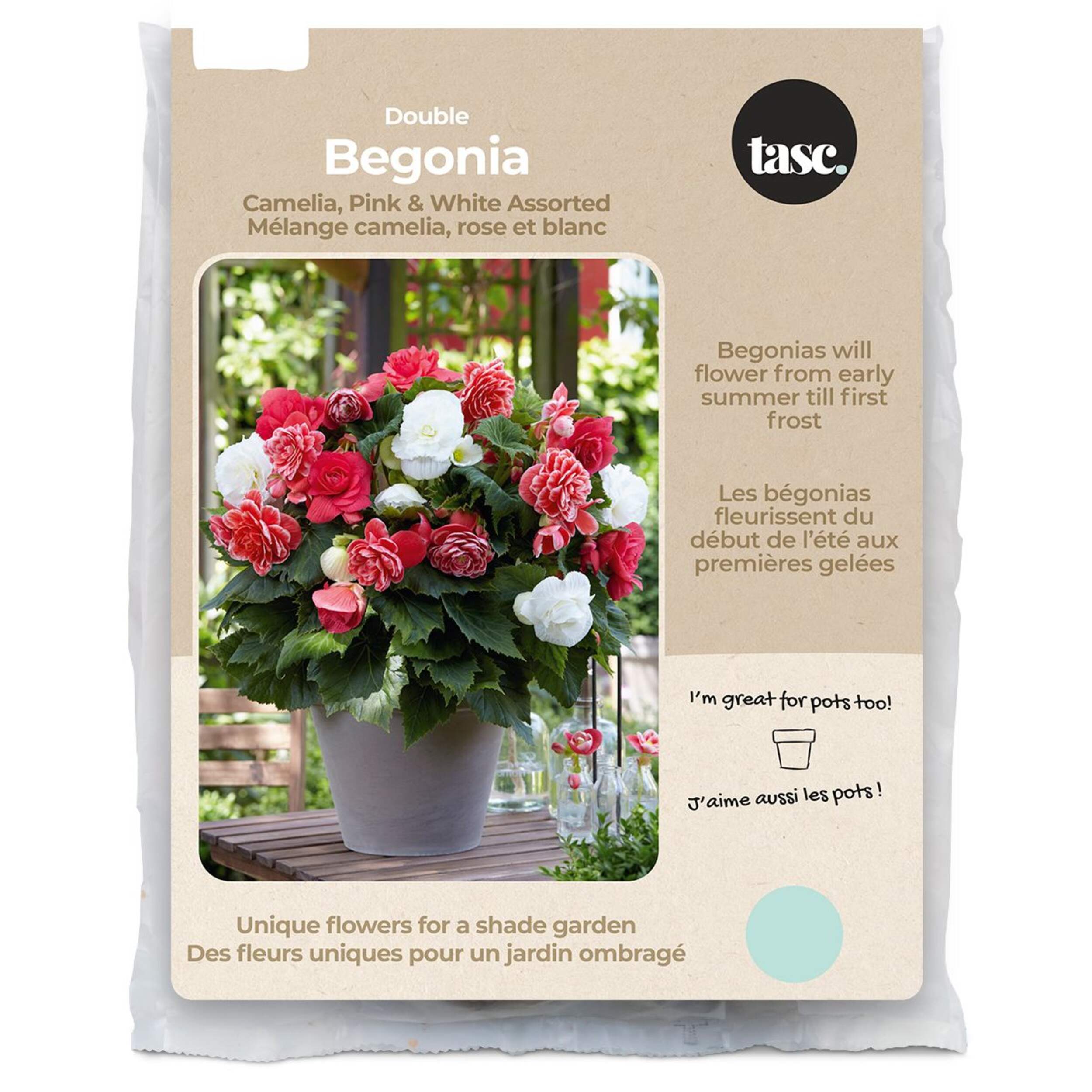 Bulbs Are Easy Begonia Double Bulbs, Assorted Varieties Front_Flat