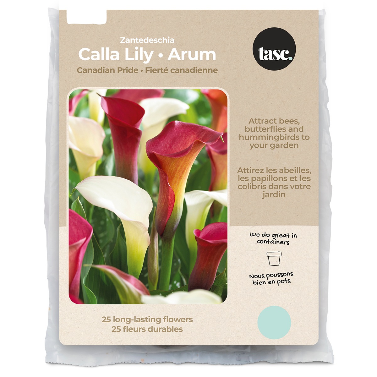 Bulbs Are Easy Calla Lily Canadian Pride Bulbs, Assorted Varieties