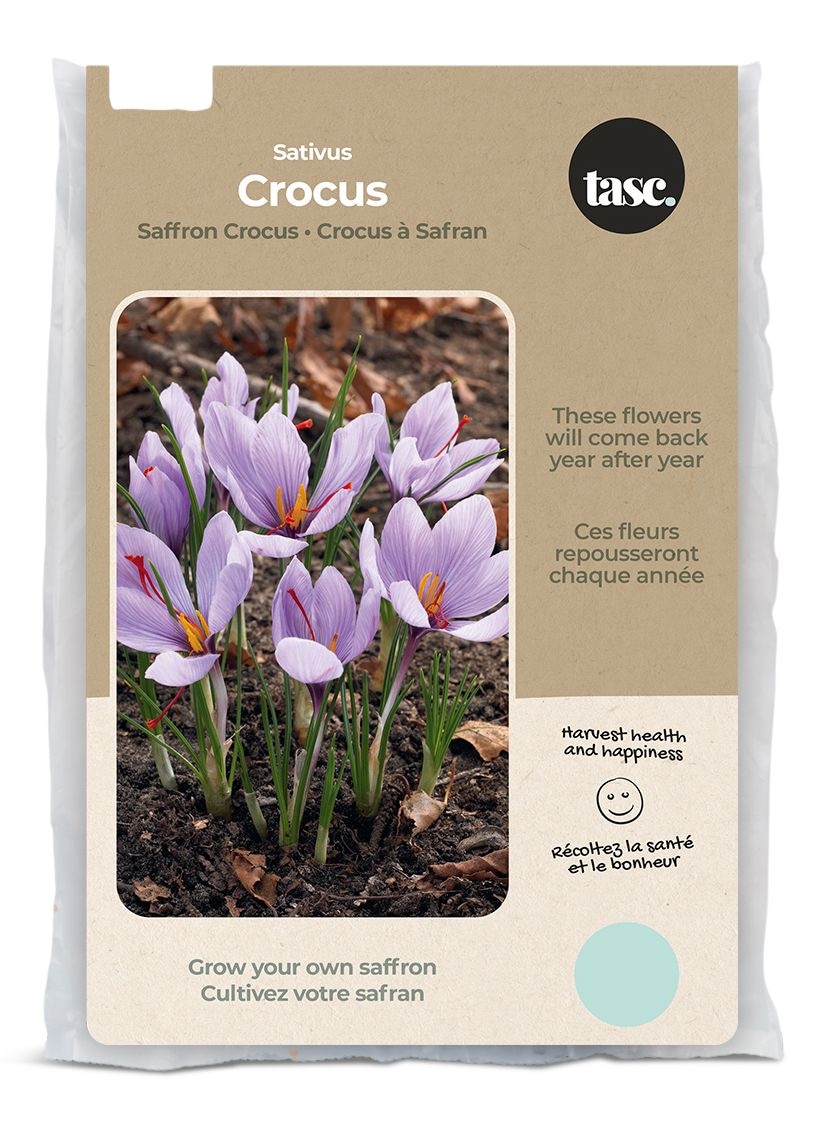 Bulbs Are Easy Saffron Crocus Bulb, For Your Home Garden Canadian Tire