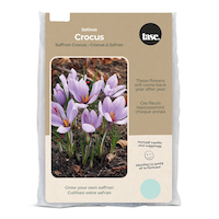 Bulbs Are Easy Saffron Crocus Bulb, For Your Home Garden Front_Flat