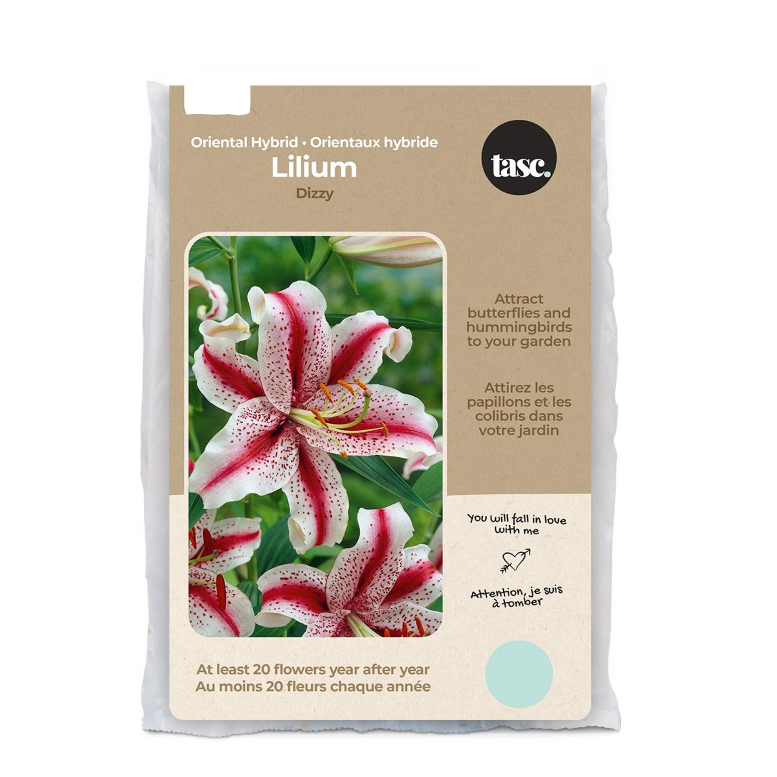 Bulbs Are Easy Perennial Lily Dizzy Flower Bulbs Front_Flat