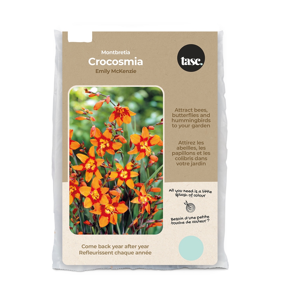 Bulbs Are Easy Crocosmia Emily McKenzie ReadytoPlant Garden Flower