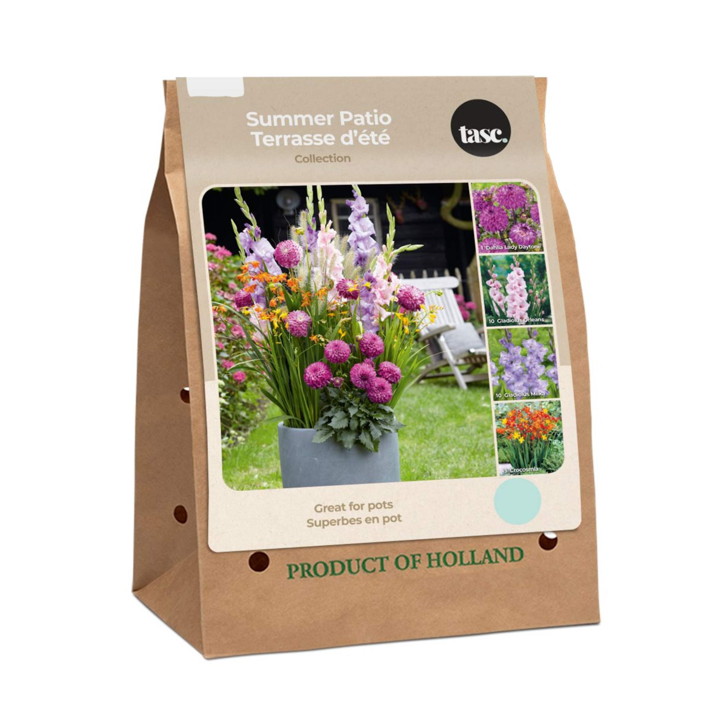 Bulbs Are Easy Summer Patio Collection Outdoor Garden Flowering Bulbs Front_Angled_Right