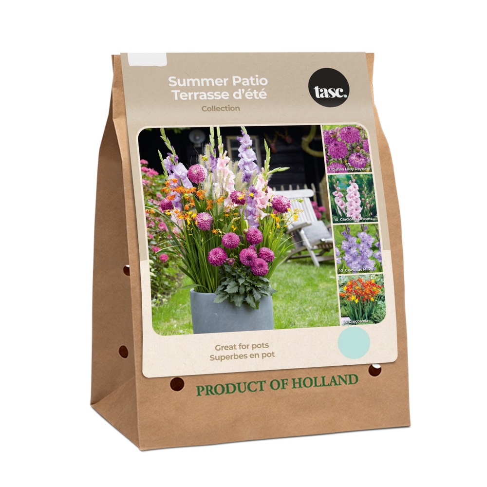 Bulbs Are Easy Summer Patio Collection Outdoor Garden Flowering Bulbs