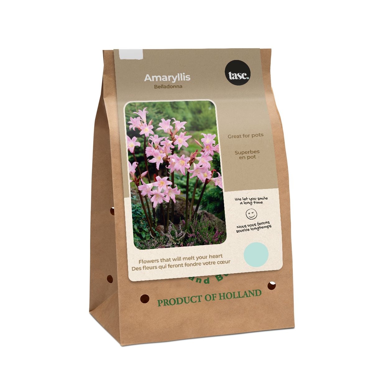 Bulbs Are Easy Amaryllis Belladonna Home Garden ReadytoGrow Flower