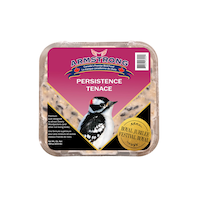 Suif Armstrong Festival Royal, mélange prime de persistance et de ténacité pour geais, 3-pq Front_Flat