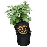 Seau jardinière pour semences de pommes de terre haute qualité Bulbs Are Easy pour le jardin à la maison Composite_or_Mixed