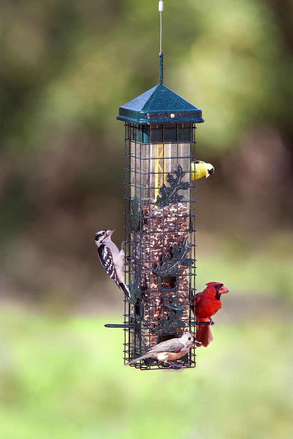 Brome Squirrel Solution 200 Outdoor Hanging Easy Bird Feeder 3.4 lb Canadian Tire