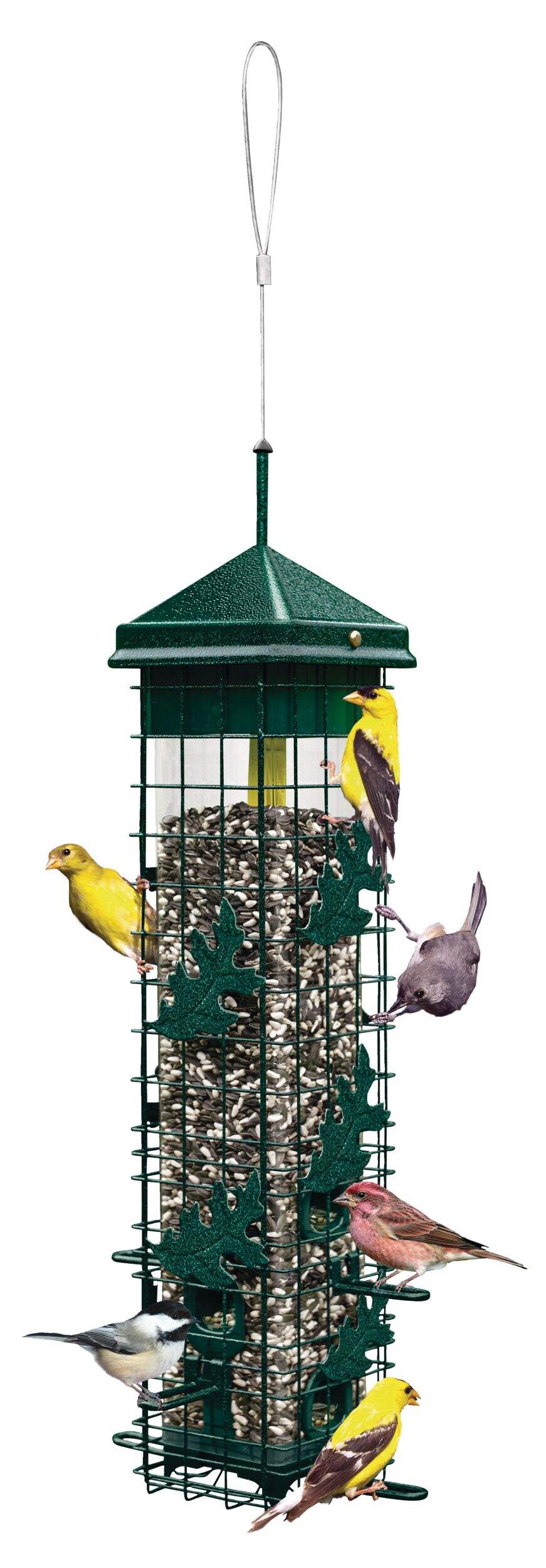 Brome Squirrel Solution 200 Outdoor Hanging Easy Bird Feeder, 3.4-lb Front_Elevated