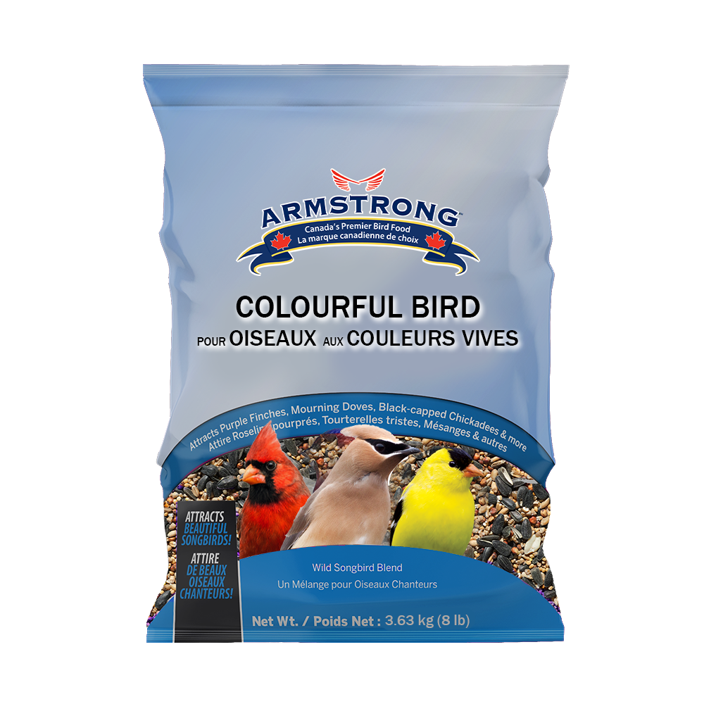 Armstrong HighEnergy Colourful Bird Seed Blend, 3.6kg Canadian Tire