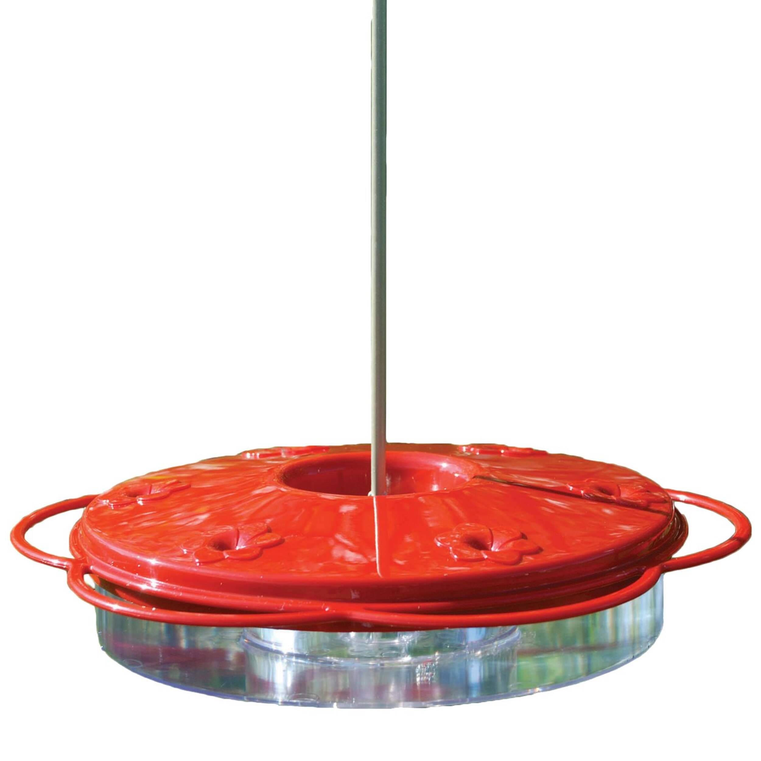 Panacea Classic Easy Hang Hummingbird Dish Feeder with Ant Guard, 12-oz Front_Elevated