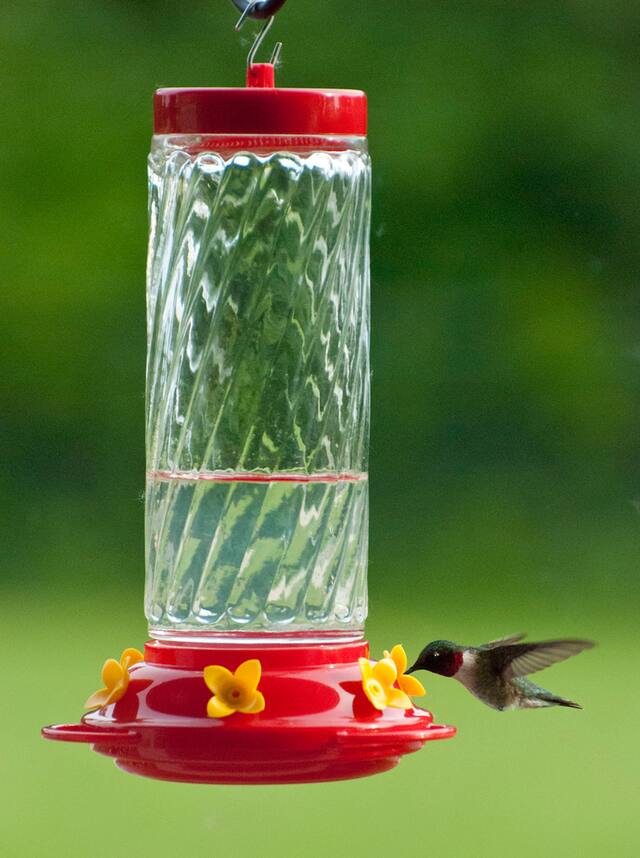 Panacea Large Clear Glass Swirl Optic Hummingbird Feeder, 30 Oz, 10.3 