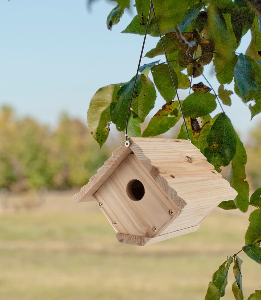 Panacea Wren Bird House | Canadian Tire