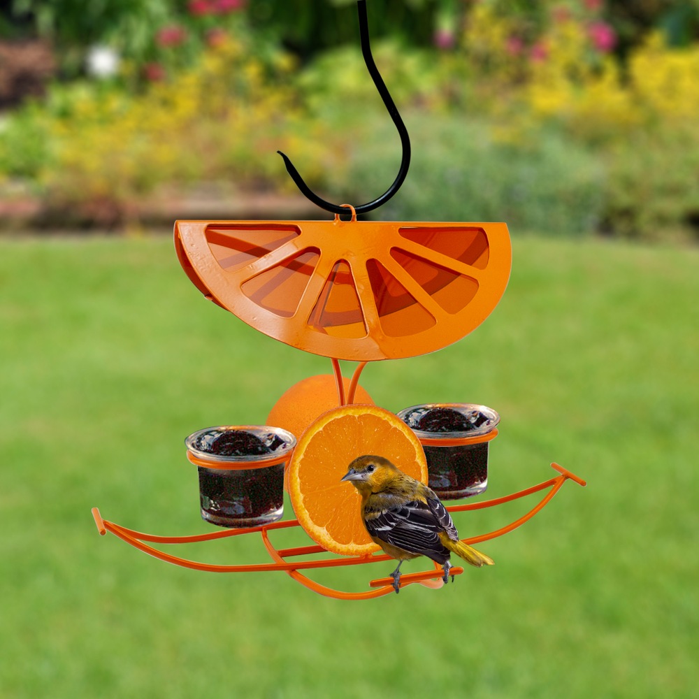 Panacea Bright Orange Slice & Jelly Oriole Bird Feeder with Metal
