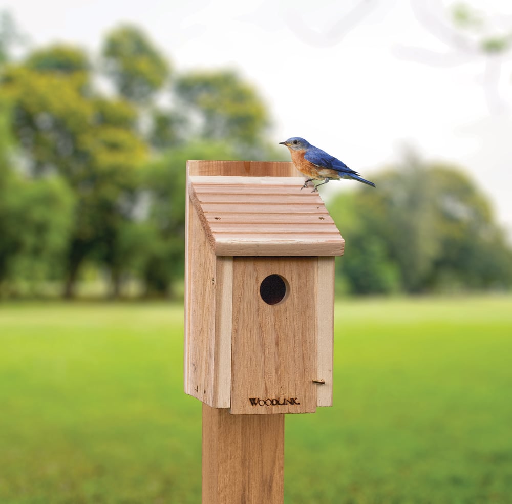 Panacea DIY Bluebird Bird House Craft Kit | Canadian Tire