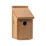 Ensemble de bricolage pour l'extérieur Panacea, oiseau bleu, 11,75 po Front_Angled_Right