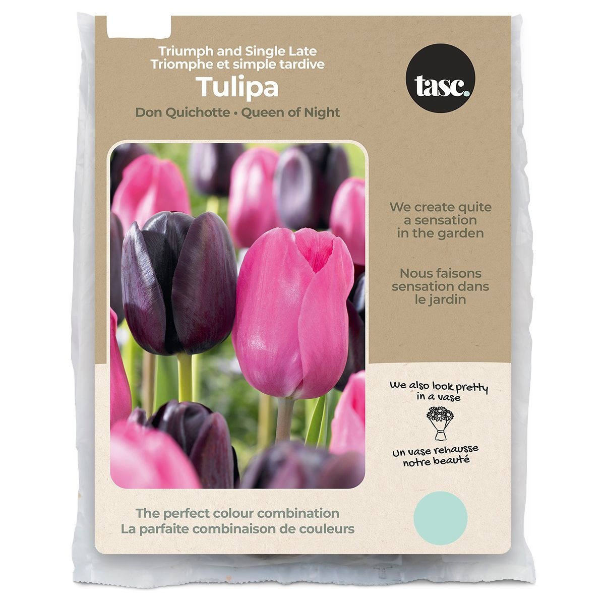 Bulbs Are Easy, Single Late Tulip, Don Quichotte & Queen of Night