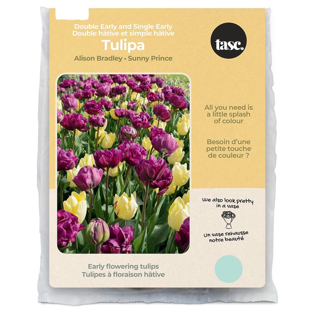 Tulip Double Early & Single Early, Alison Bradley & Sunny Prince Flower