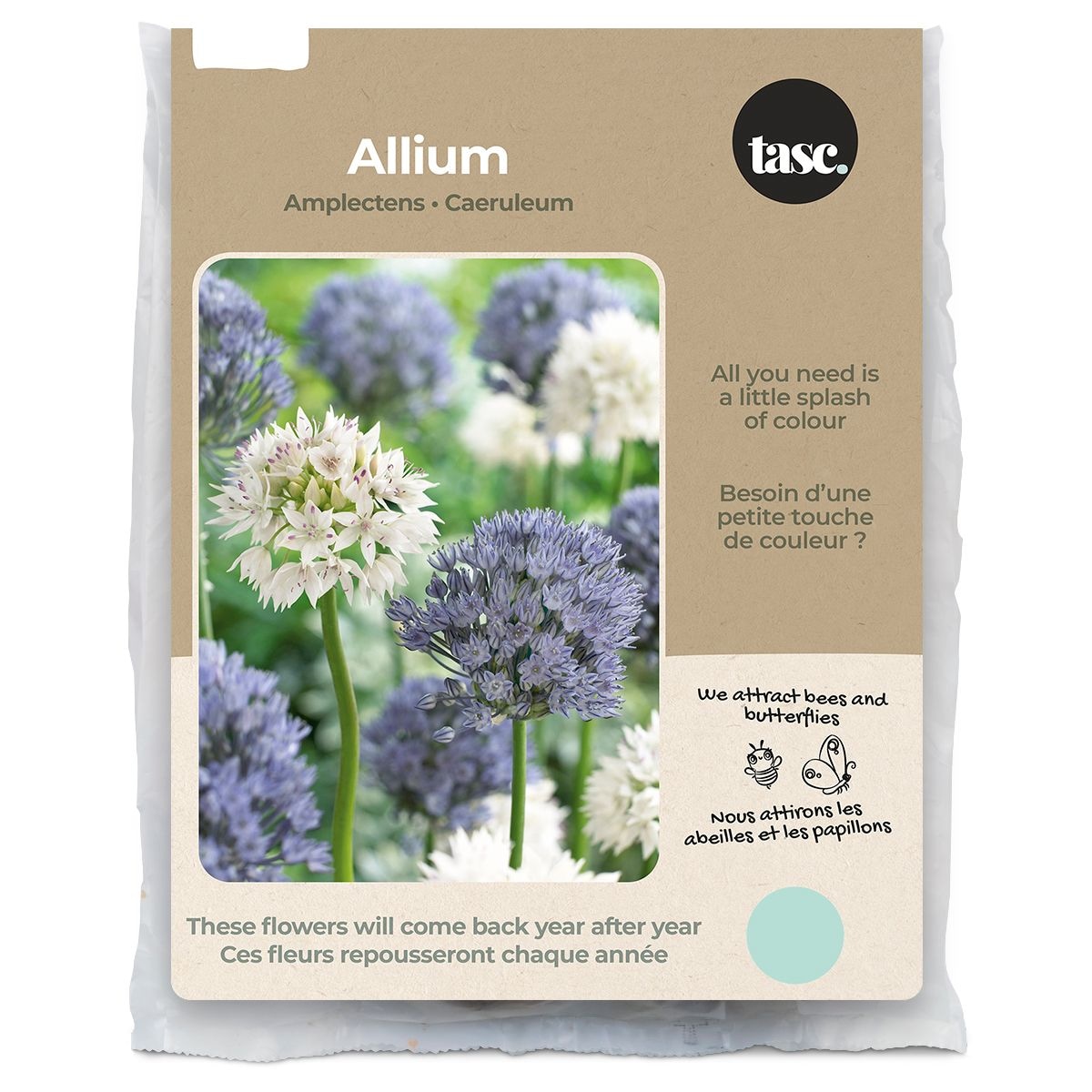 Allium Amplectens & Caeruleum Flower Bulbs by Bulbs Are Easy Canadian