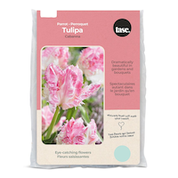 Bulbes de tulipes Cabanna et tulipes perroquet argenté Bulbs Are Easy Front_Flat