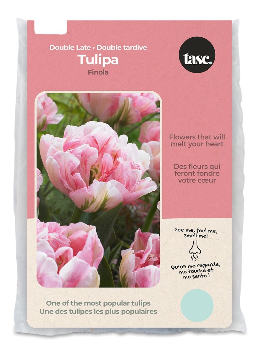 Bulbs Are Easy, Tulip Double Late Finola, Flower Bulbs Canadian Tire