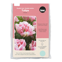 Bulbes de tulipes doubles tardives Finola Bulbs Are Easy Front_Flat