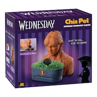 Jardinière en poterie décorative Chia Pet, Mercredi