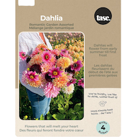 Bulbes de dahlia Bulbs Are Easy, variétés assorties, potager familial Front_Flat