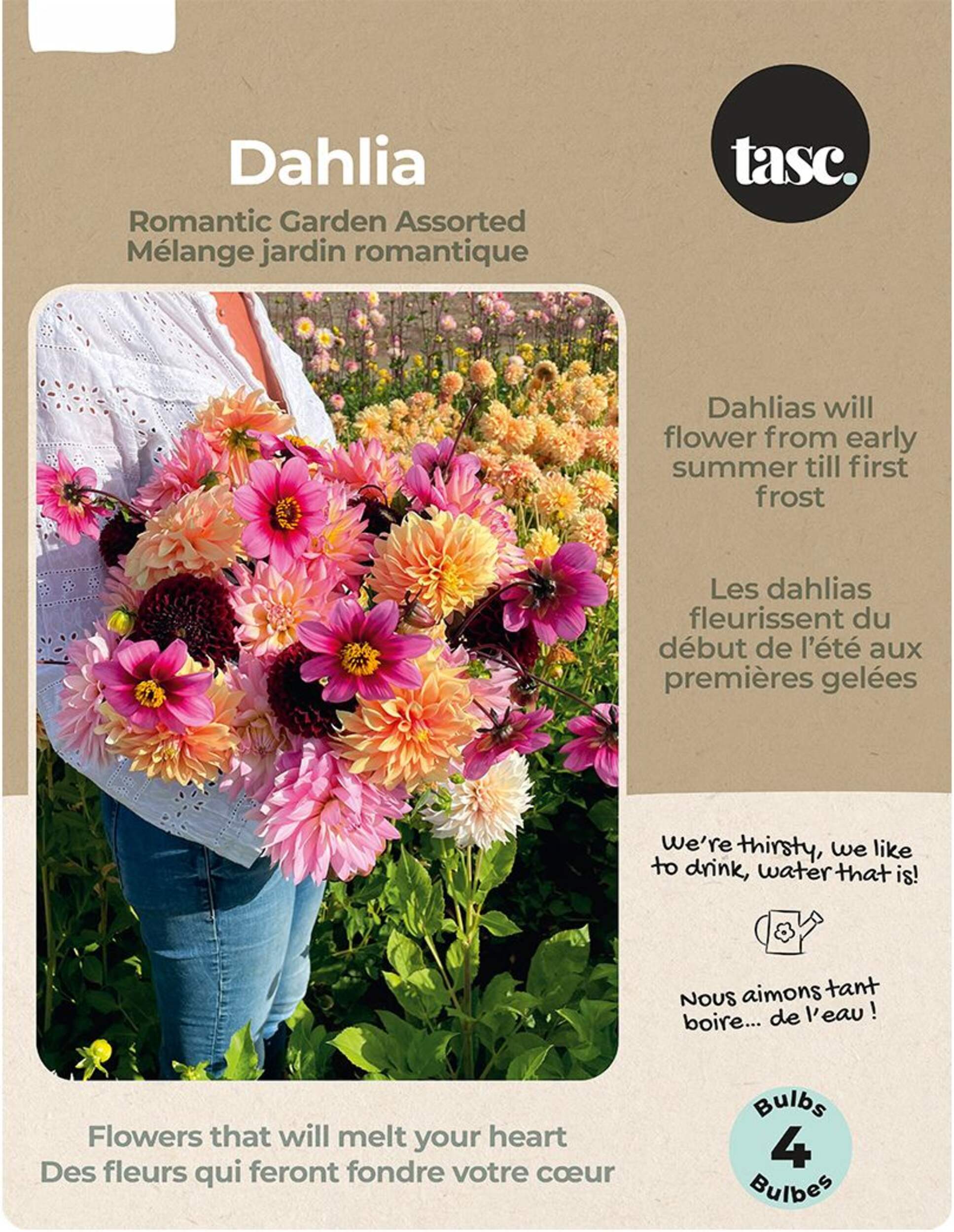 Bulbs Are Easy, Dahlia Bulbs, Assorted Varieties, Home Garden Front_Flat