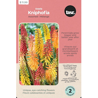 Bulbs Are Easy, Kniphofia, Uvaria, Assorted Bulb Types Front_Flat