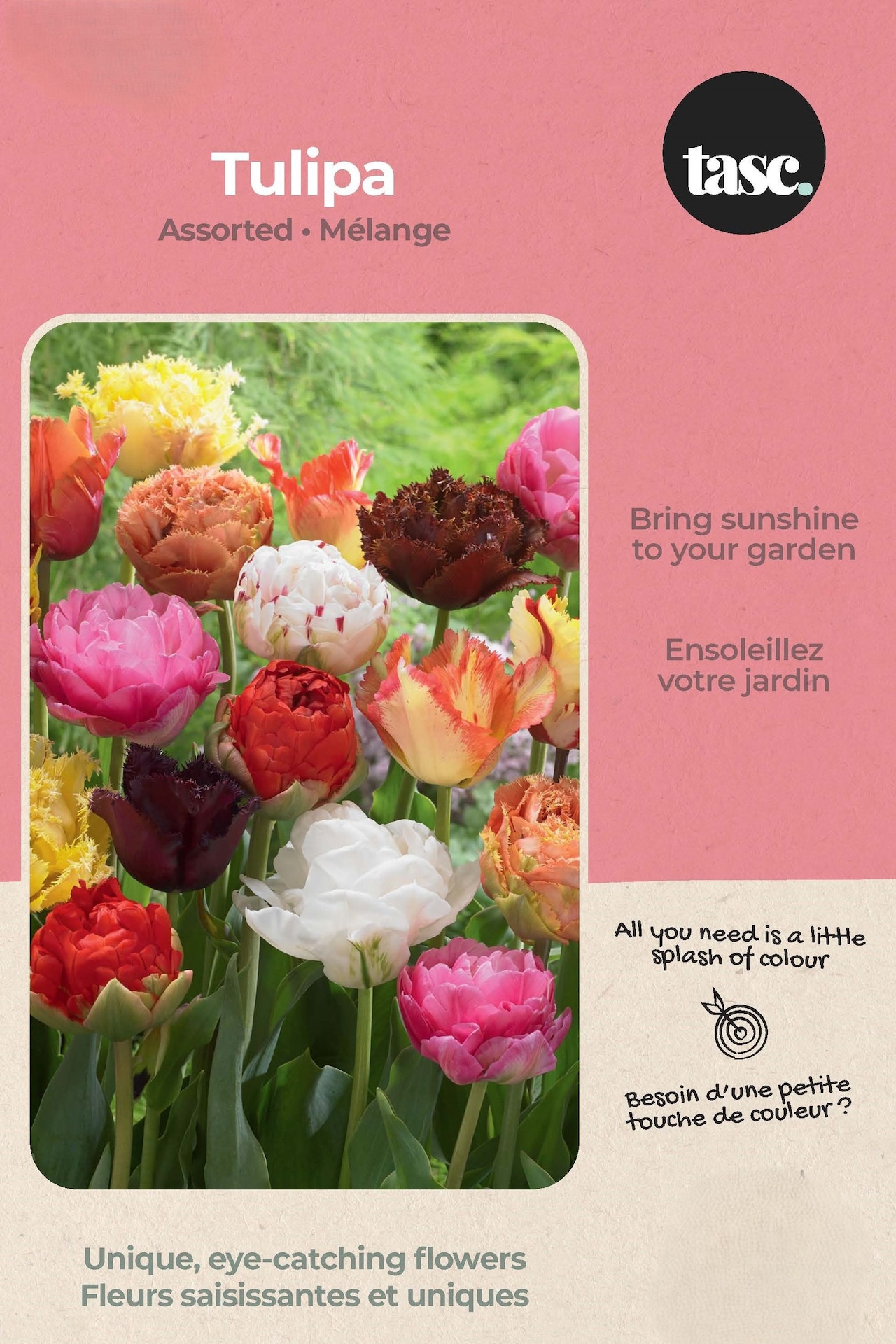 Bulbs are Easy Tulip Double Early Bulb