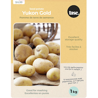 Bulbs Are Easy Potato Yukon Gold, High-Yielding Variety, 1-kg Front_Flat