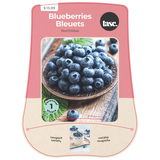 Bulbs are Easy Blueberry Northblue Fruit Plant, Compact Variety, Spring Plants Front_Flat