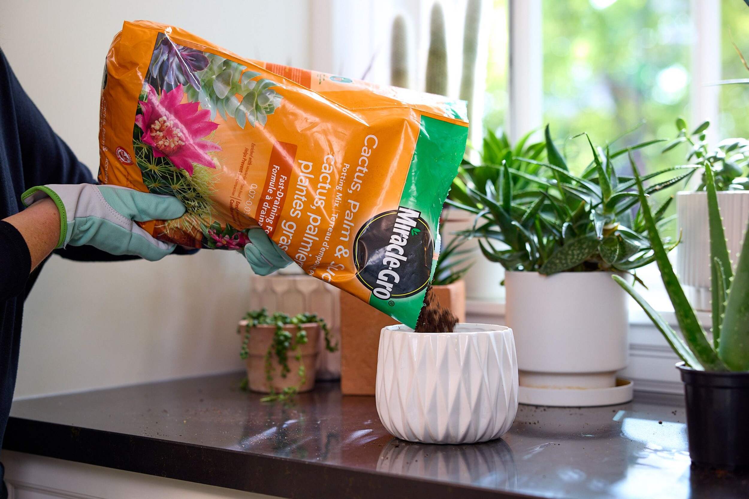 MiracleGro® Cactus, Palm & Succulent Potting Soil, 8.8L Canadian Tire