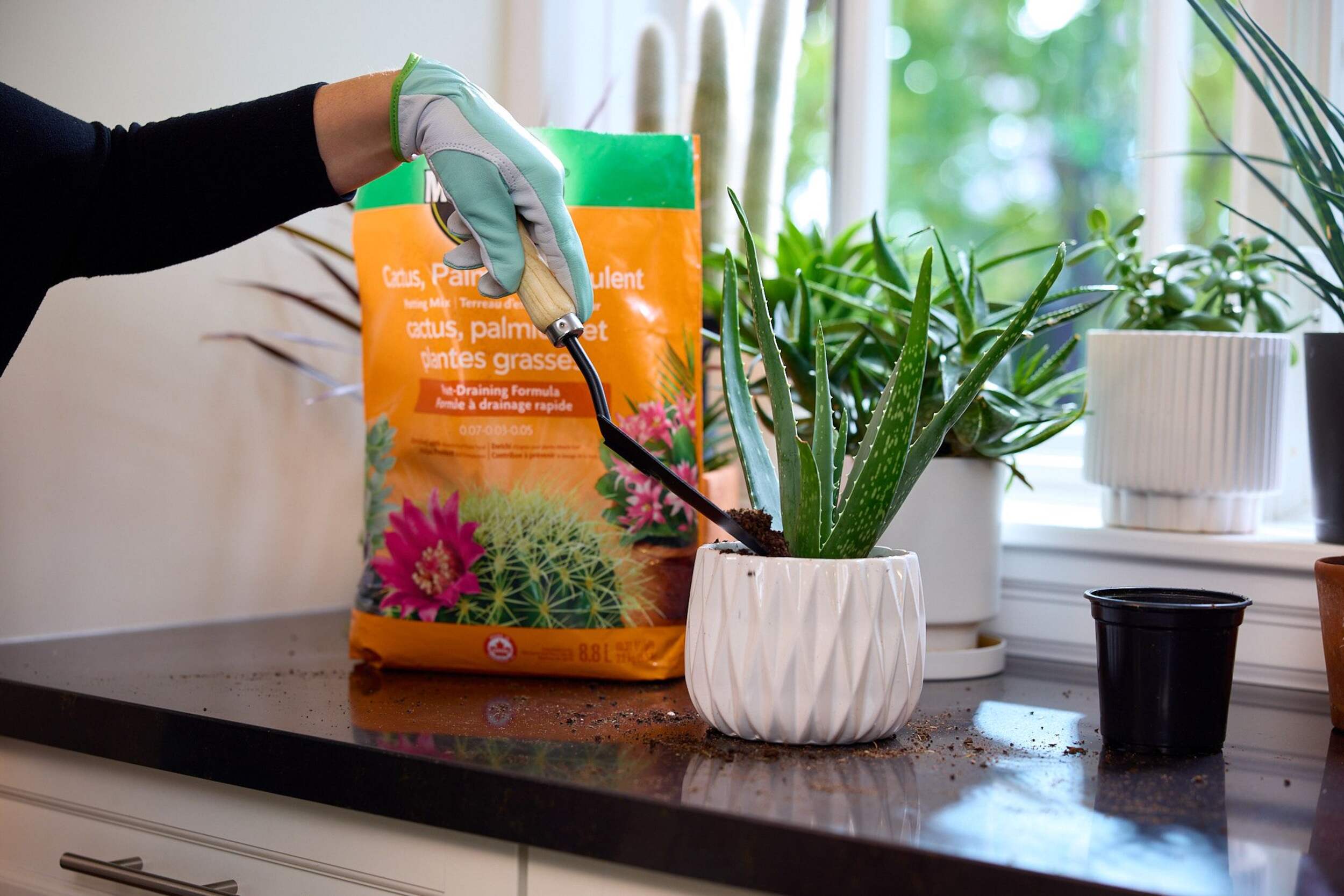 MiracleGro® Cactus, Palm & Succulent Potting Soil, 8.8L Canadian Tire