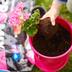 PRO-MIX Potting Mix, Bigger Plants, More Blooms, 9-L Composite_or_Mixed