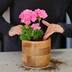 PRO-MIX Potting Mix, Bigger Plants, More Blooms, 9-L Composite_or_Mixed