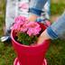 PRO-MIX Potting Mix, Bigger Plants, More Blooms, 9-L Composite_or_Mixed
