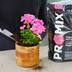 PRO-MIX Potting Mix, Bigger Plants, More Blooms, 9-L Composite_or_Mixed