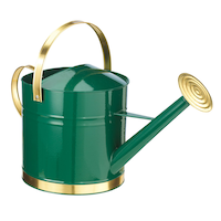 Metal Watering Can, 9-L