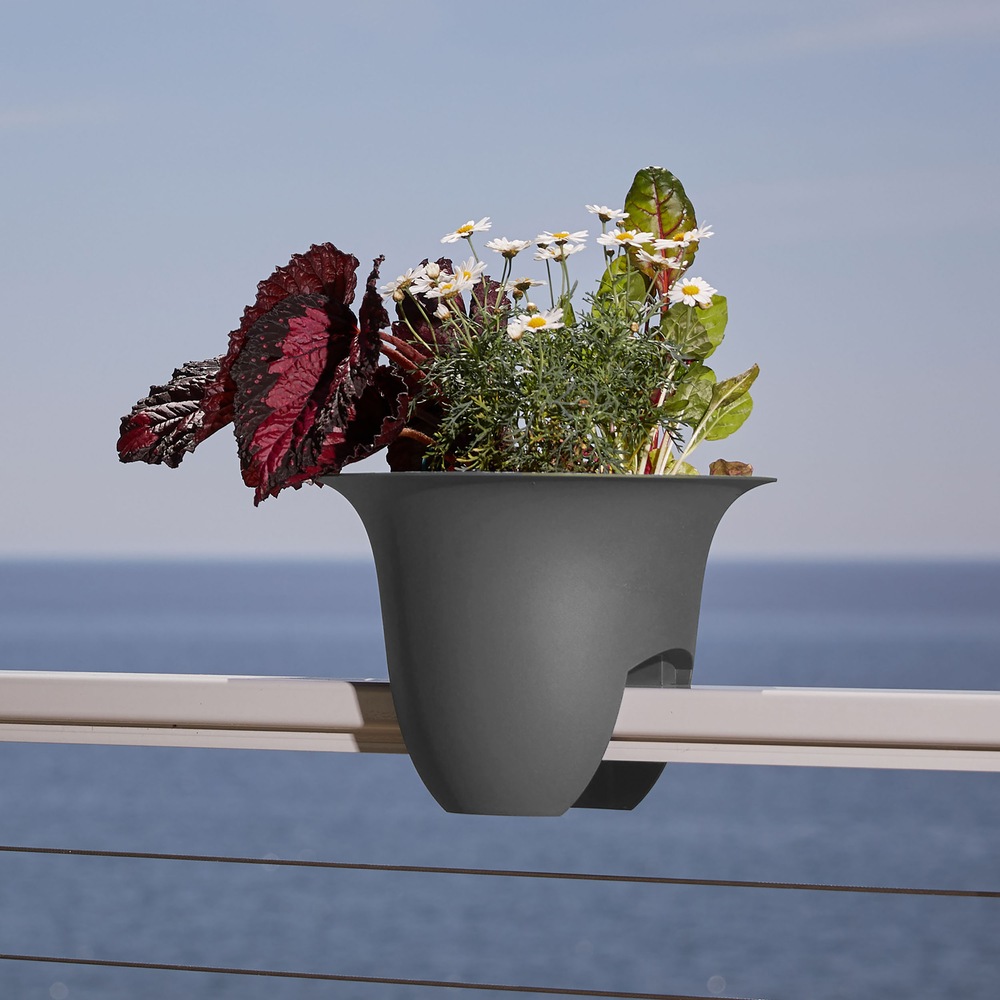 Bloem Modica Rail Planter, Assorted Canadian Tire
